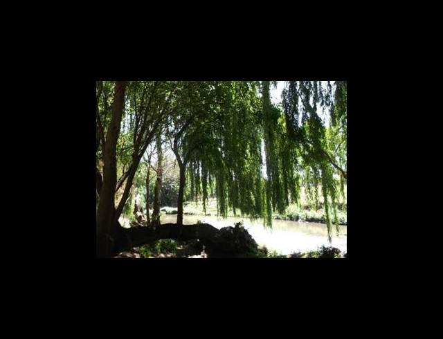 FARM FOR SALE IN HENLEY-ON-KLIP